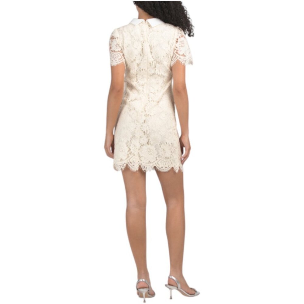 DALIA MACPHEE Short Sleeve Lace Mini Dress With Contrast Collar - Picture 2 of 6